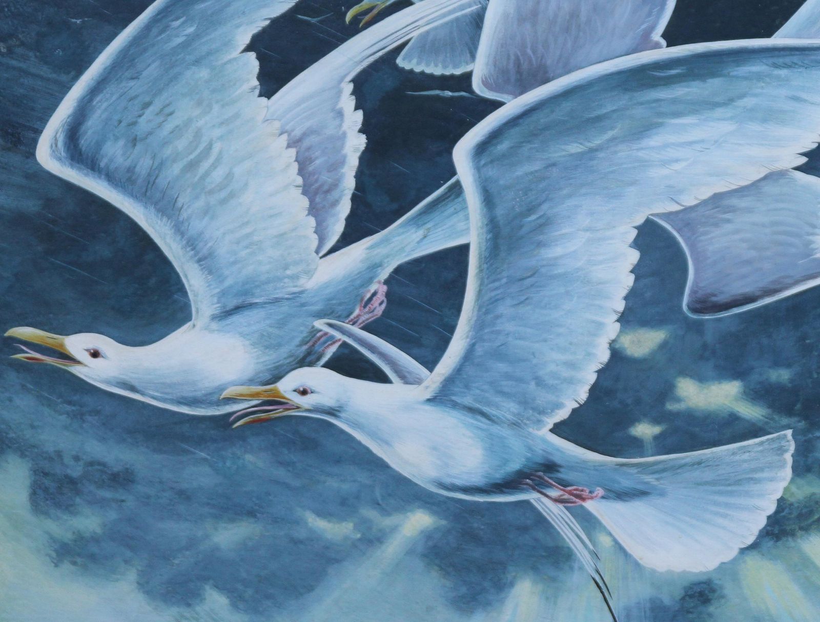 Stuart Maxwell Armfieldflock Of Seagulls   British 60's Surrealist Art Oil Painting Birds In Flightcirca 1960 photo 4286.0