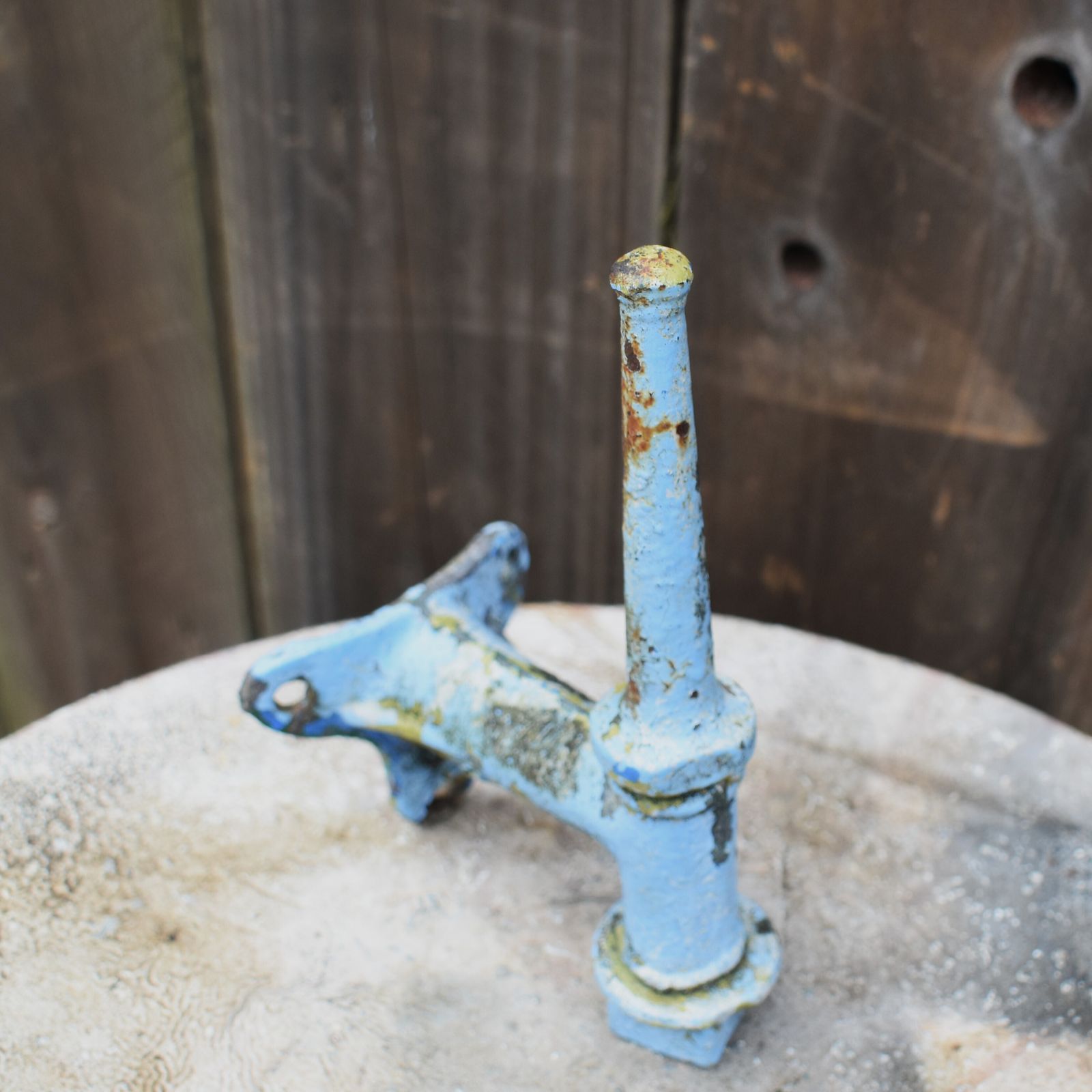 Garden Lighting Antique Salvaged Cast Iron Painted Wall Lightning Rod Garden Weathervane photo