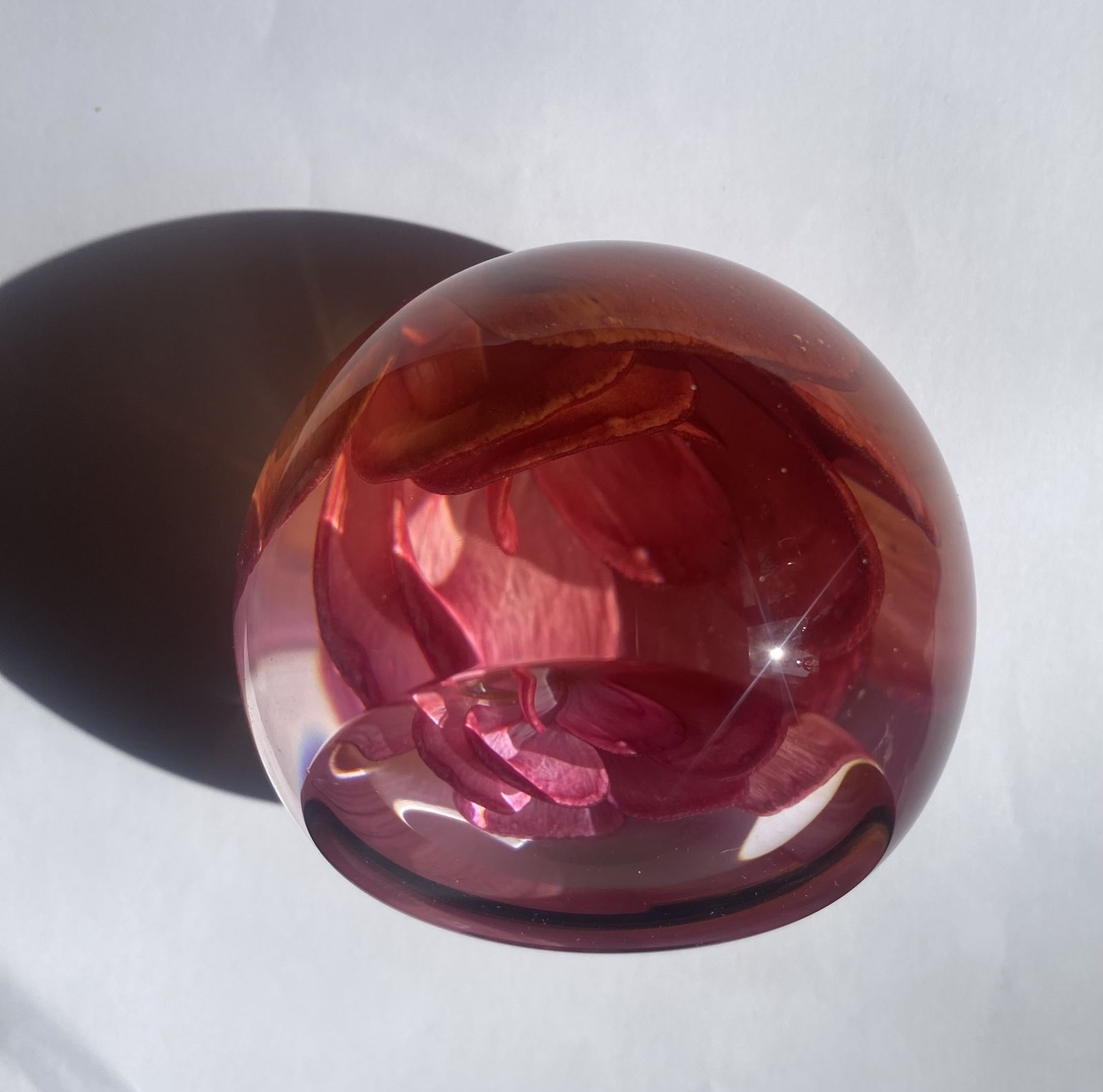 50.0 Caithness, Queen Elizabeth Rose, Golden Jubilee Commemorative Paperweight photo