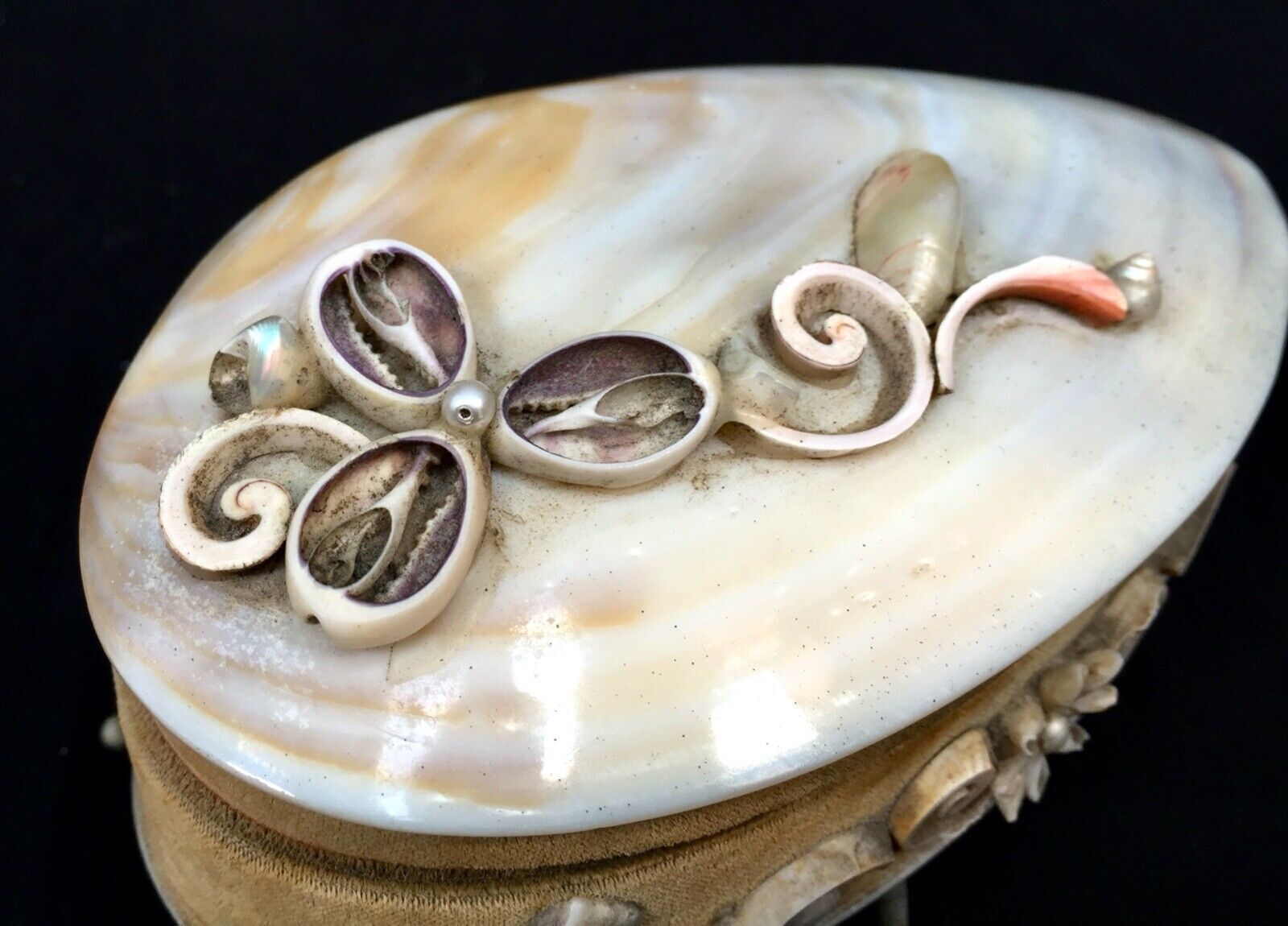Antique Mother Of Pearl & Shell Work Jewellery Box / Trinket Case / Chest photo Home Decor
