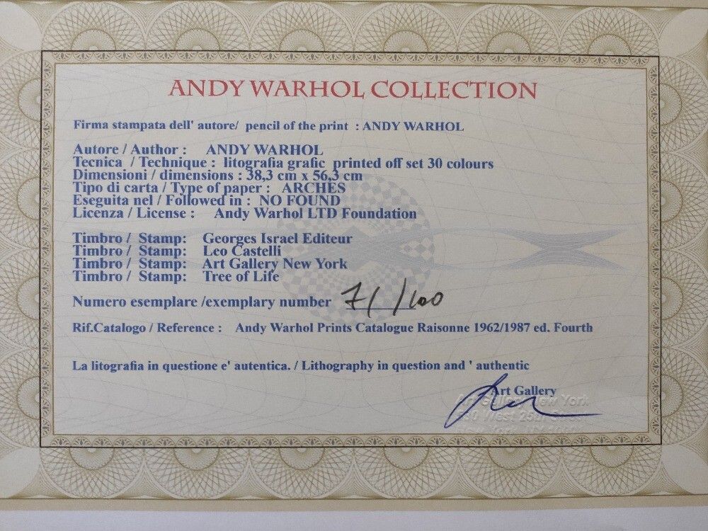 Andy Warhol “Poppies” — Museum Quality Plate Signed Print Accompanied By Castelli Documentation photo for sale
