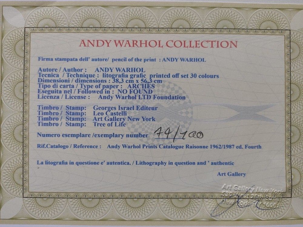 Andy Warhol “Cat” — Iconic Plate Signed Lithograph With Castelli Gallery Certificate photo for sale