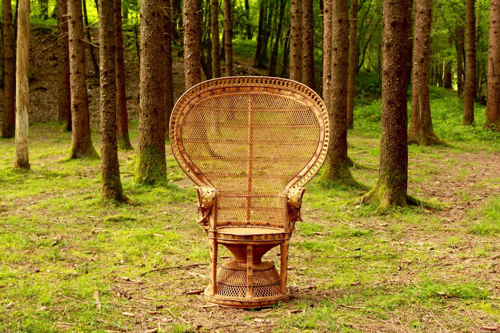 Emmanuelle, Original Vintage Peacock Chair, Italy, 1970s photo furniture