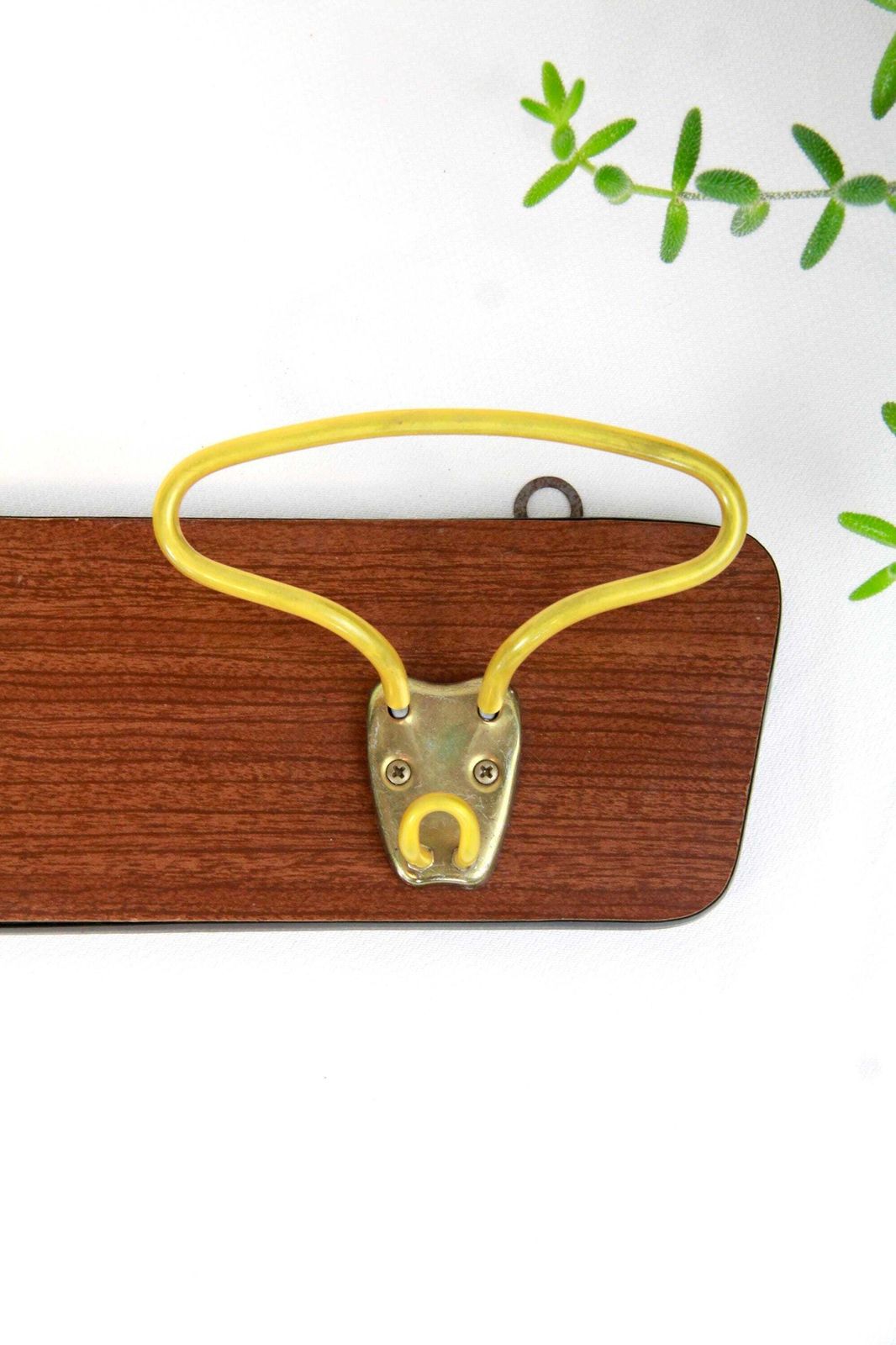 Zagara, Vintage Mid Century Industrial Wall Coat Rack, Italy, 1960s photo for sale