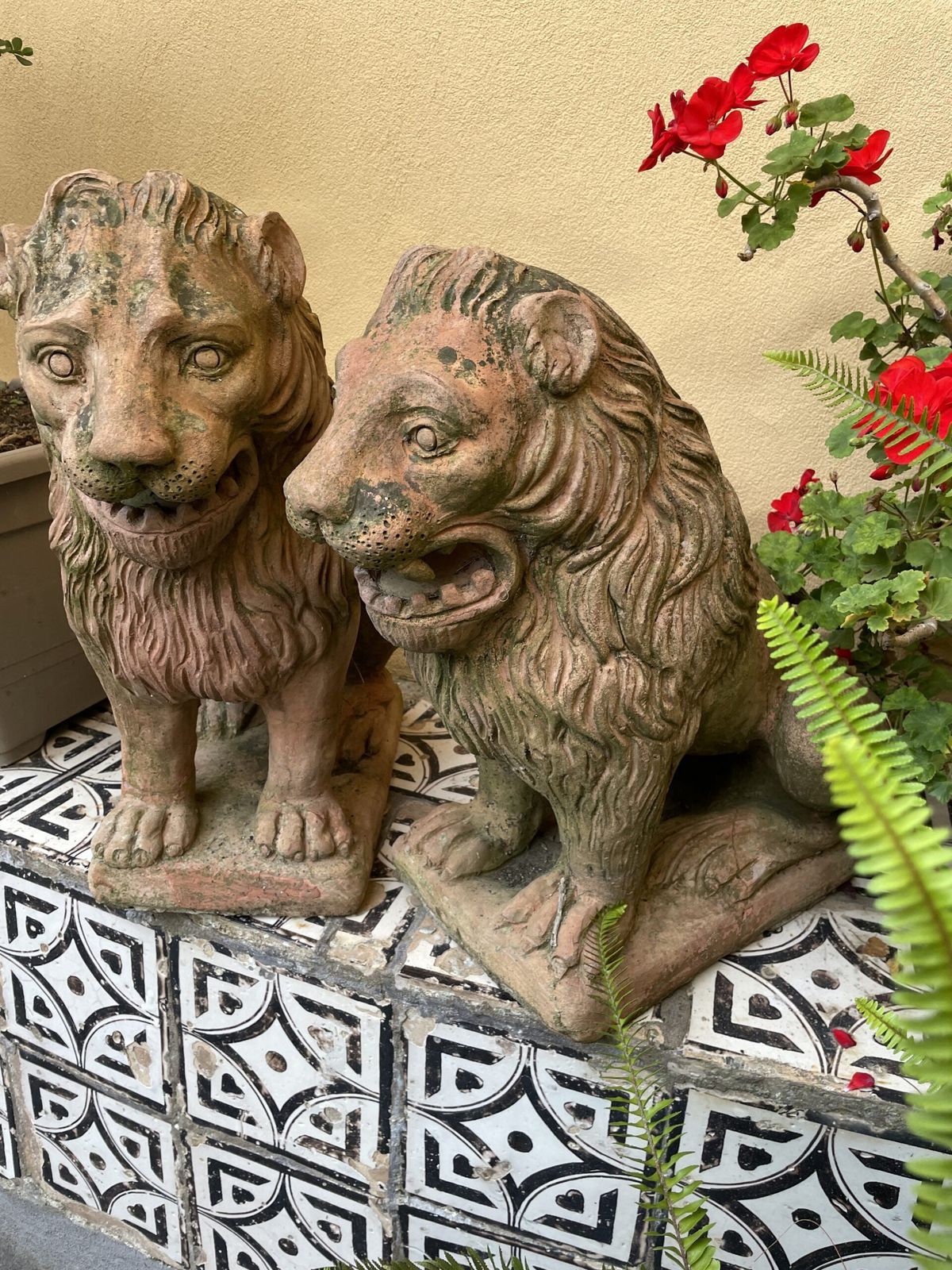Pair Of Italian Terracotta Lions. ( Circa 1920) photo furniture