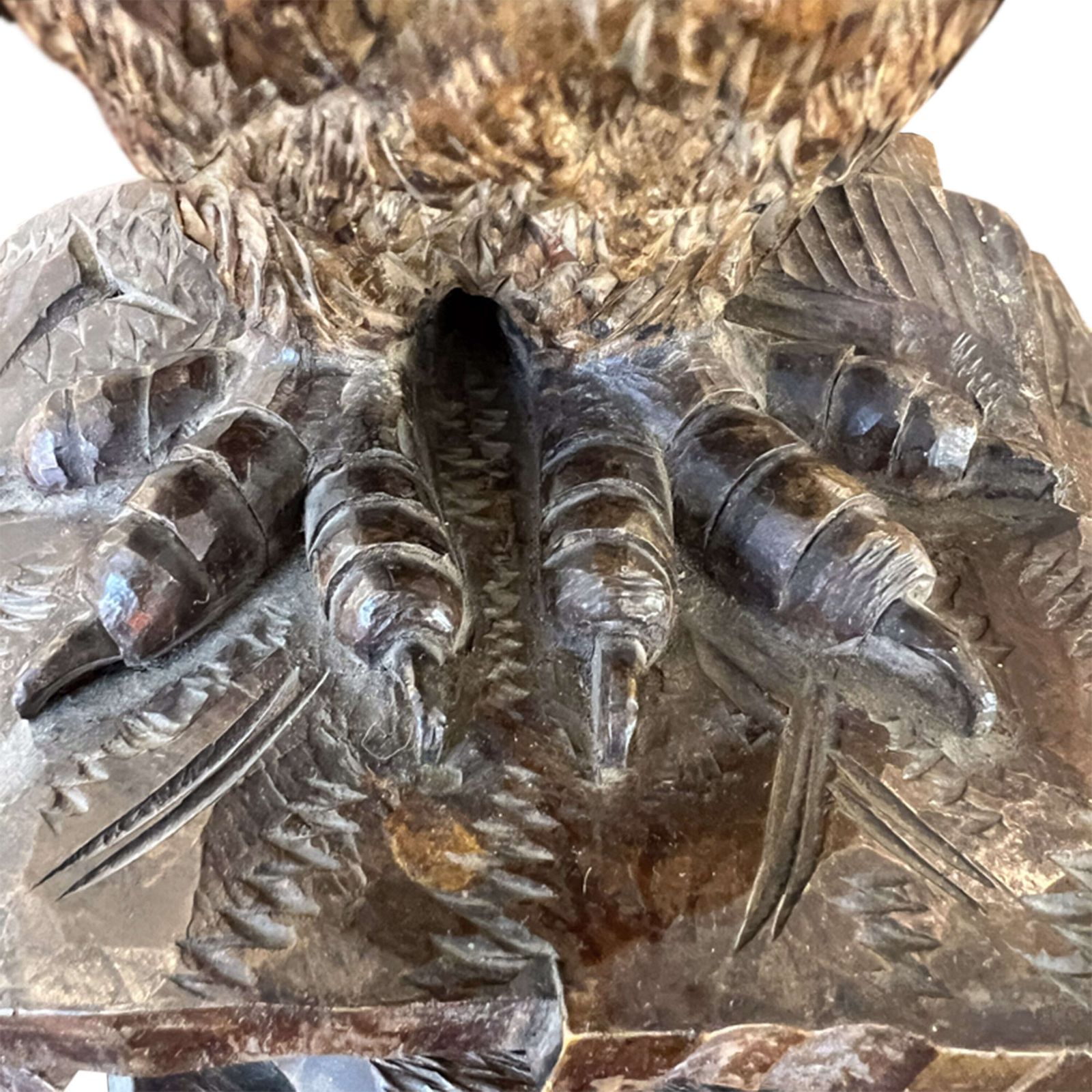 Swiss Black Forest Carved Owl With Glass Eyes, Early 1900s photo vinterior