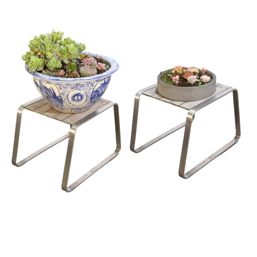 Ceramic Plant Bowls With Succulents, Set Of Two