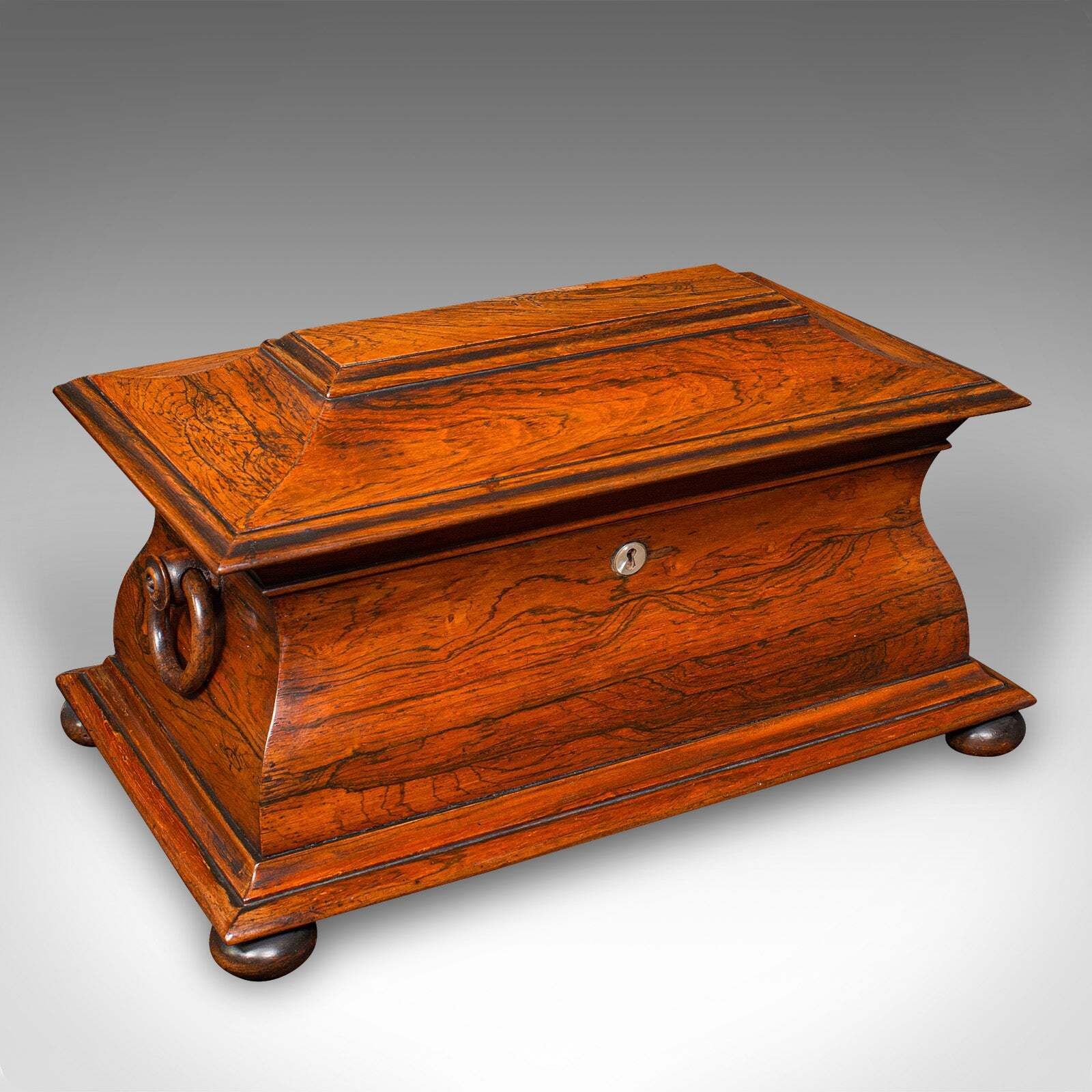 Antique Sarcophagus Loose Leaf Tea Caddy, Drawing Room, English, Regency, C.1820