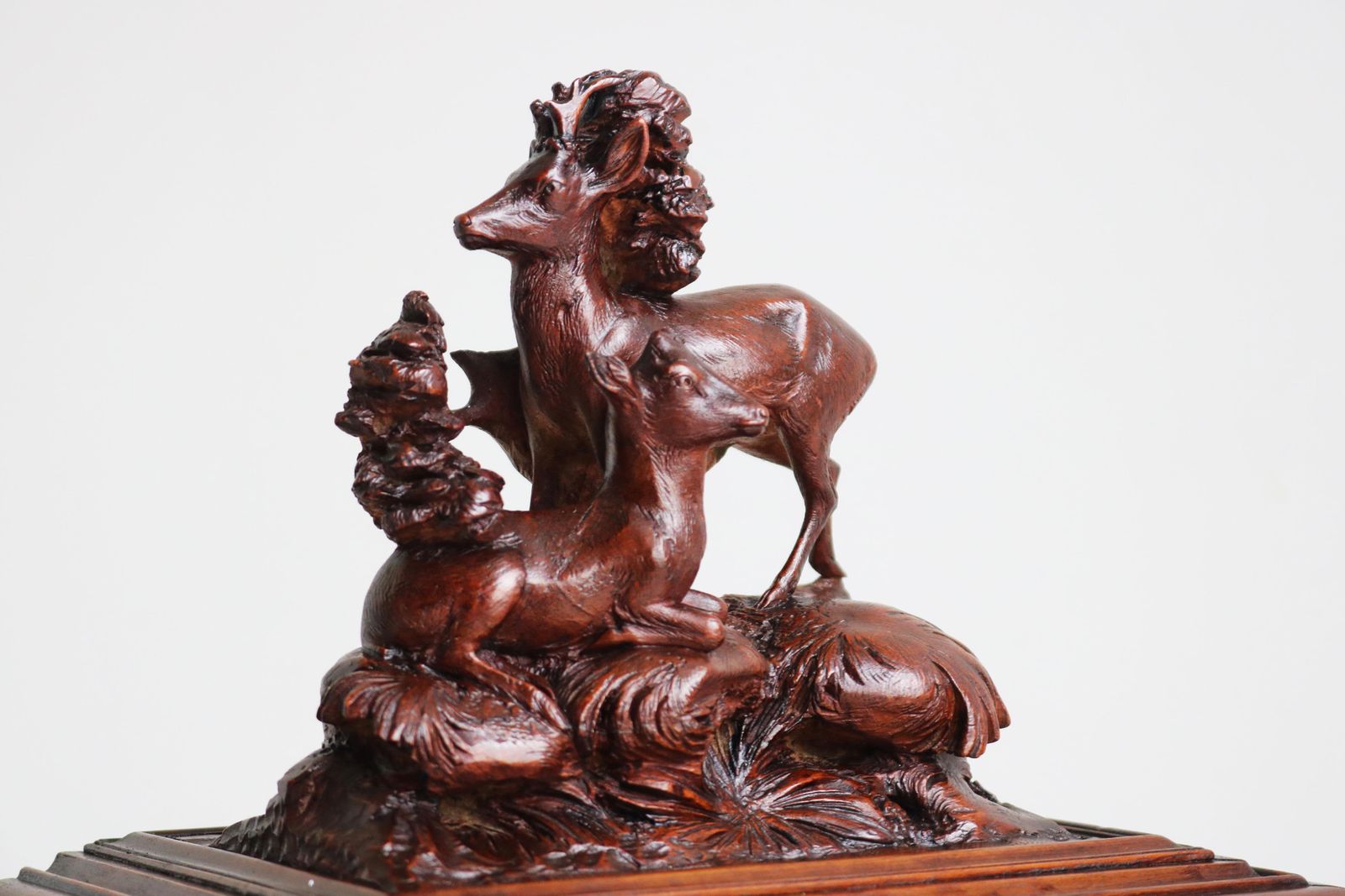Antique Black Forest Cigar Box / Humidor 19th Century Carved Deer Walnut Swiss photo furniture