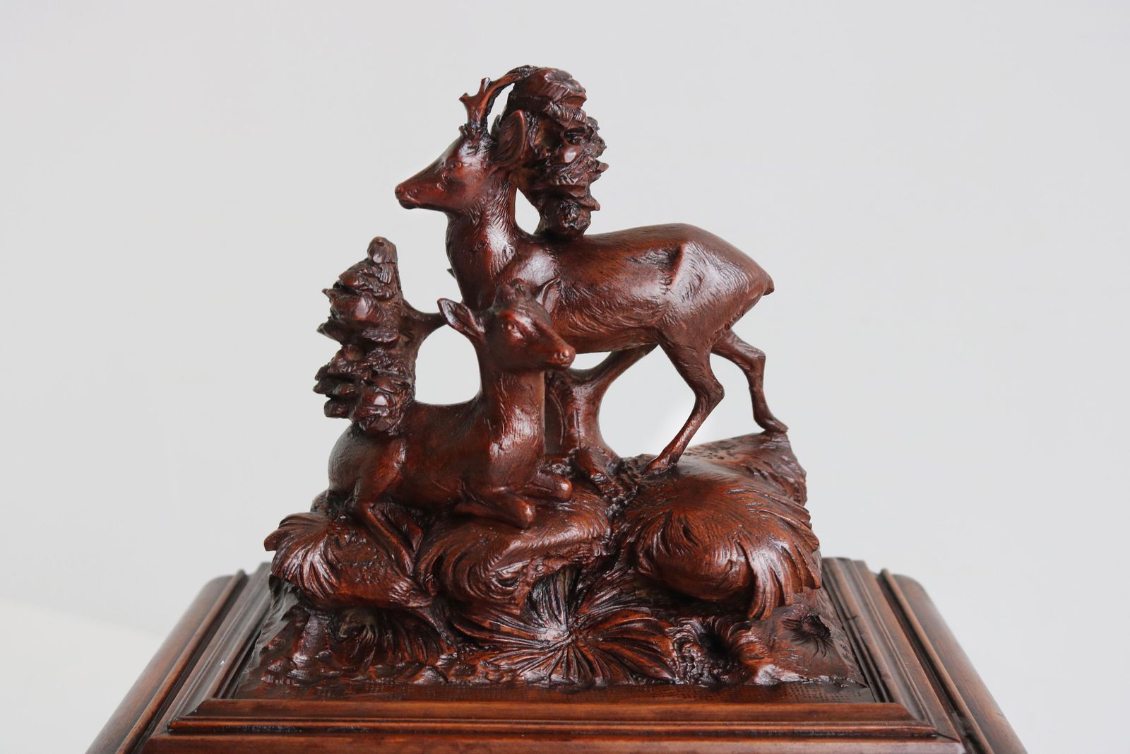 Antique Black Forest Cigar Box / Humidor 19th Century Carved Deer Walnut Swiss photo vintage