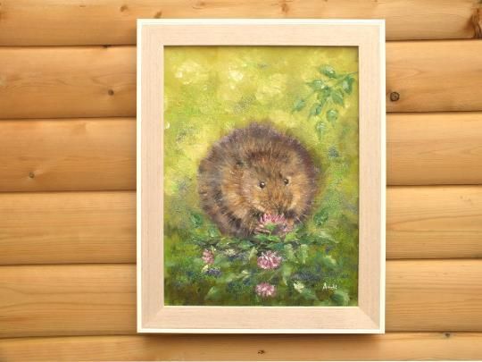 New Original Framed Painting Water Vole  Andi J Lucas  Wildlife Art photo for sale