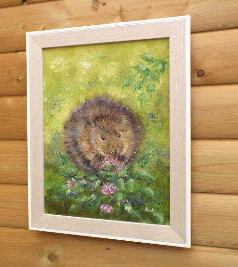 New Original Framed Painting Water Vole  Andi J Lucas  Wildlife Art photo vintage