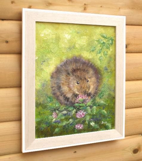 photo furniture New Original Framed Painting Water Vole  Andi J Lucas  Wildlife Art