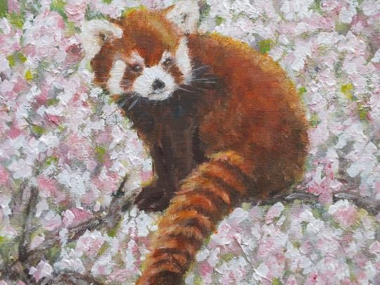 Red Pandas In Cherry Blossom Landscape Wildlife Original Painting Andi J Lucas photo furniture