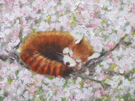 Red Pandas In Cherry Blossom Landscape Wildlife Original Painting Andi J Lucas photo for sale