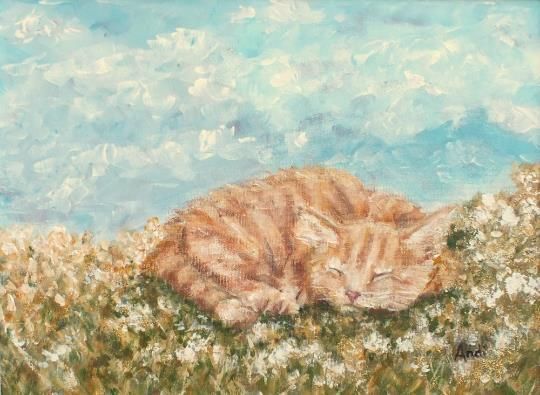 Sleeping Ginger Blonde Cat  Summer Day Original Framed Painting Andi J Lucas photo Art