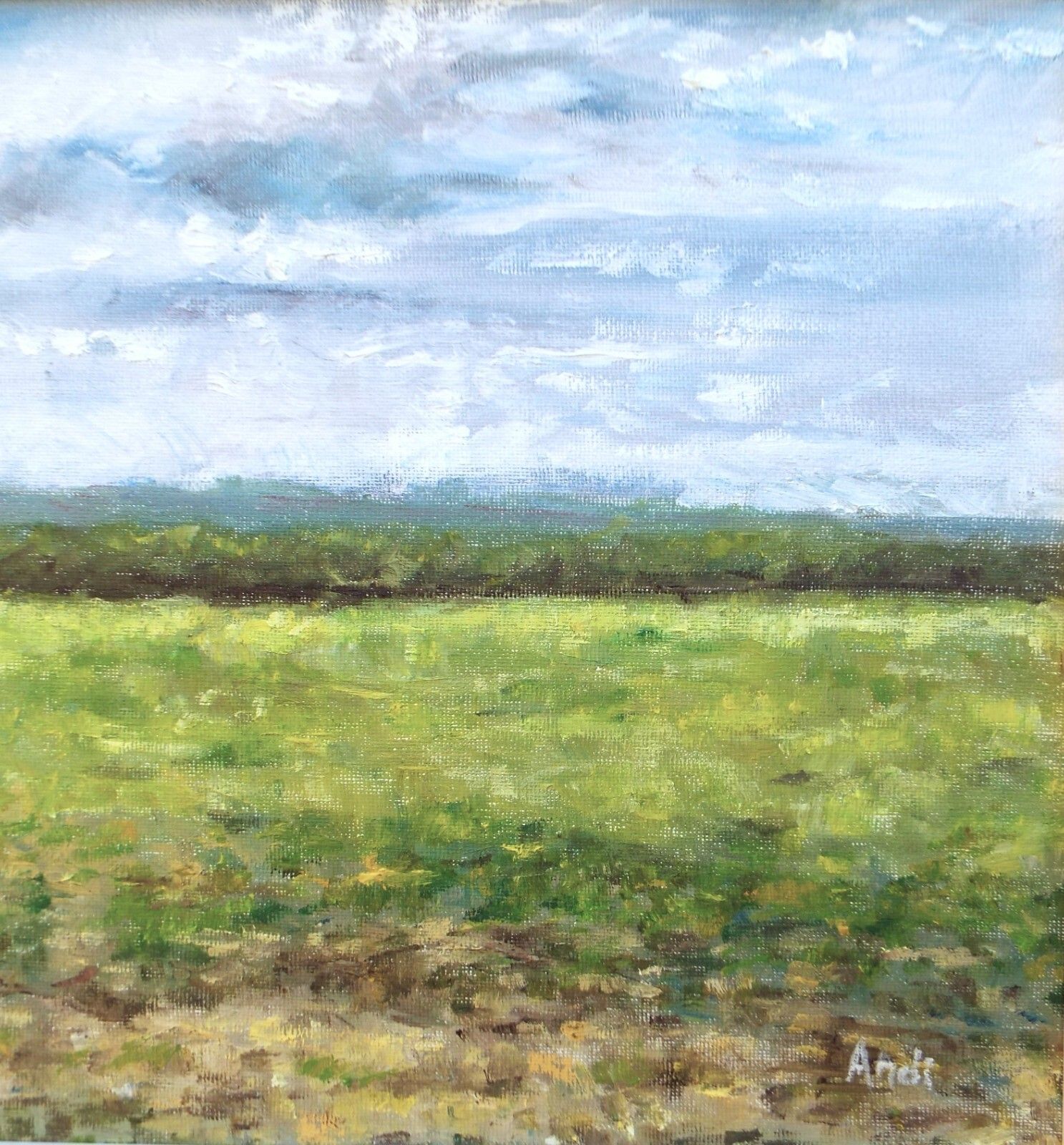 Green Summer Field Landscape Farm Original Oil Painting Signed Framed Andi Lucas photo for sale