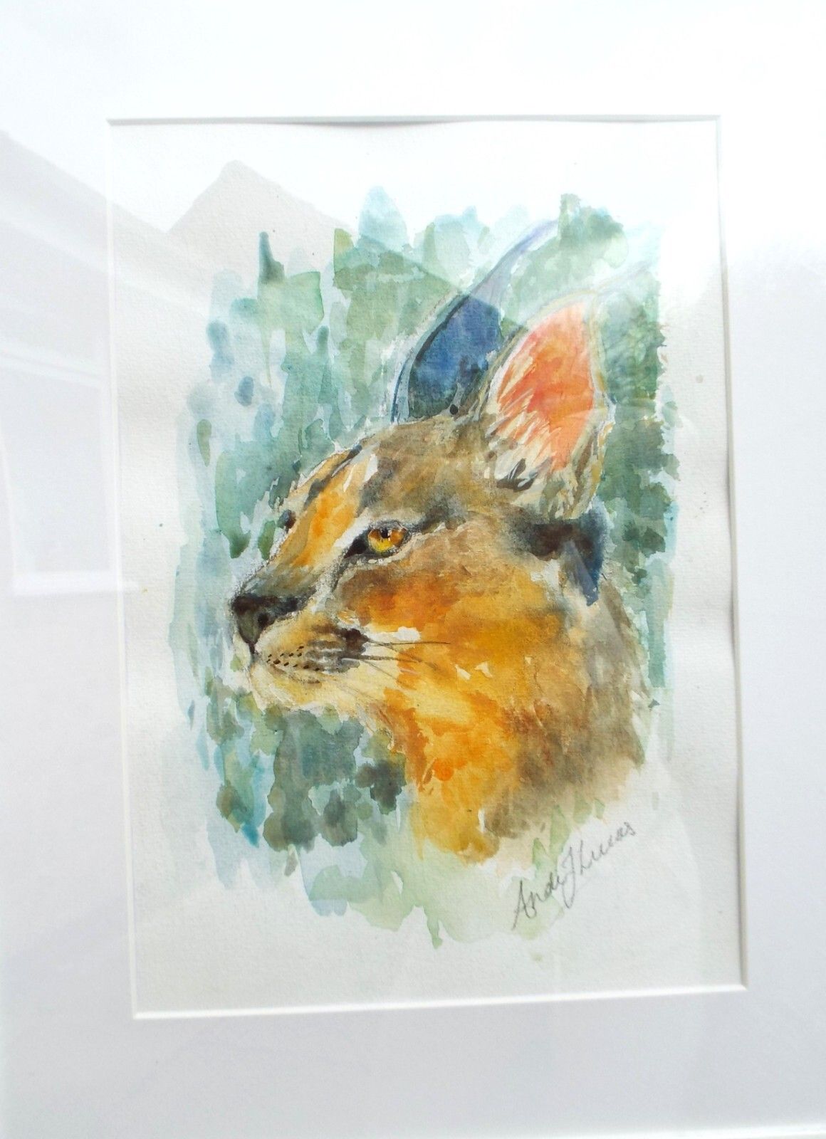 Caracal Watercolour Big Cat Painting Framed African Wildlife Original Andi photo furniture