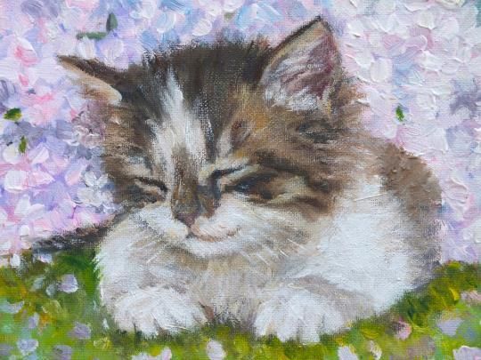 New Original Framed Painting Kitten Cat Floral Hydrangeas  Andi J Lucas photo for sale