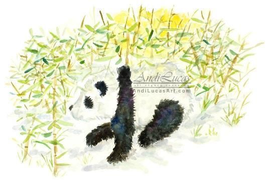 Panda In Bamboo Illustration Original Watercolour Painting Andi J Lucas