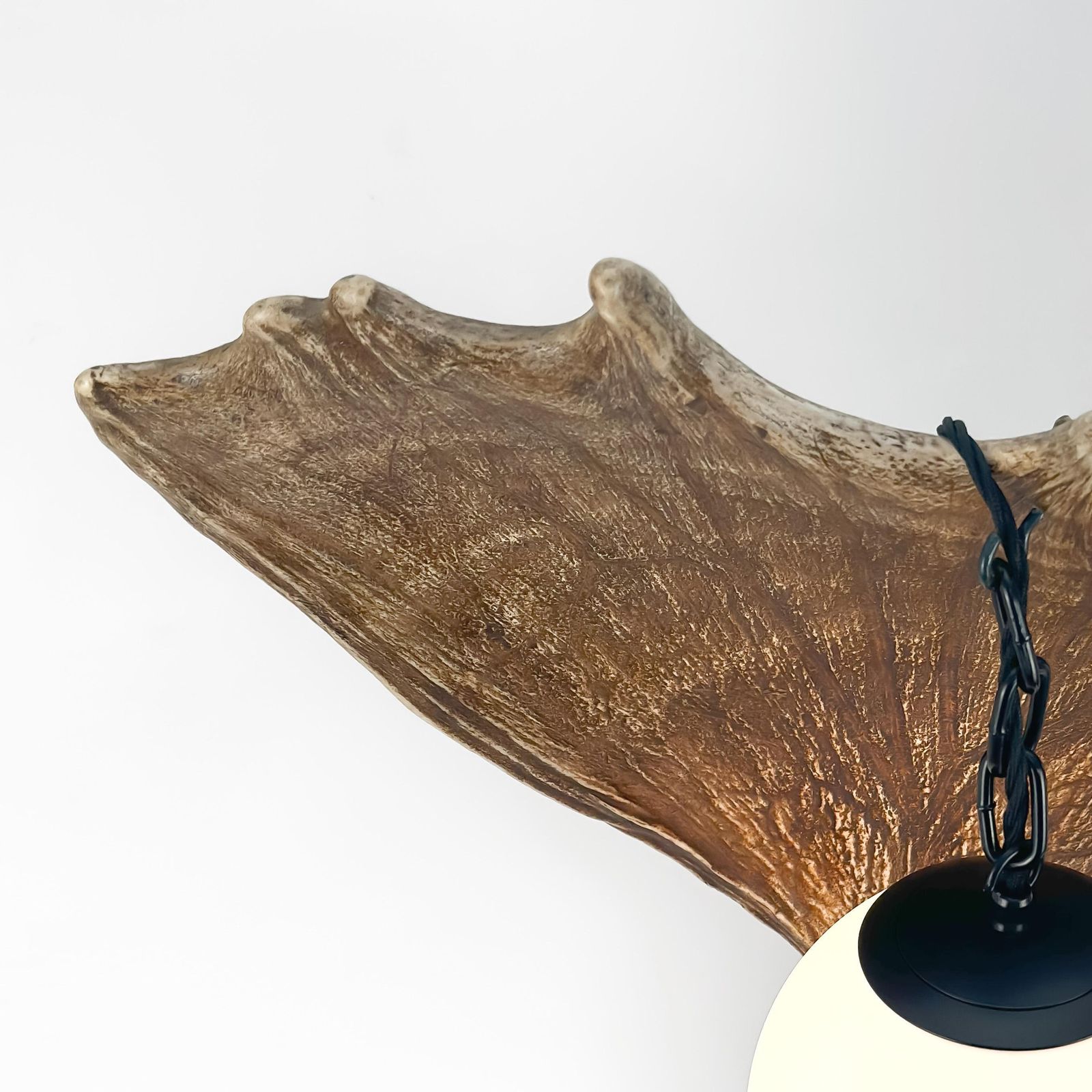 photo furniture Black Forest Fallow Deer Antler Table Lamp, Frosted Glass Globe, Germany, 1950s