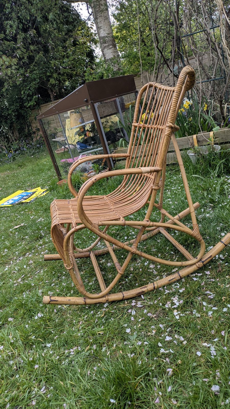 Bamboo Cane Rocking Chair, Franco Albini Style photo buy