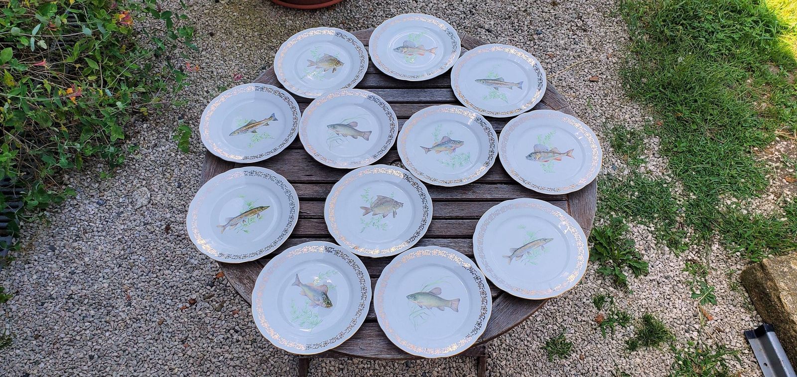 Full Set Of 12 Porcelain Fish Plates, Platter And Jug By Schumann Of Arzberg / 1960s Unused Porcelain Fish Plates / Boxed Set Of Porcelain photo furniture