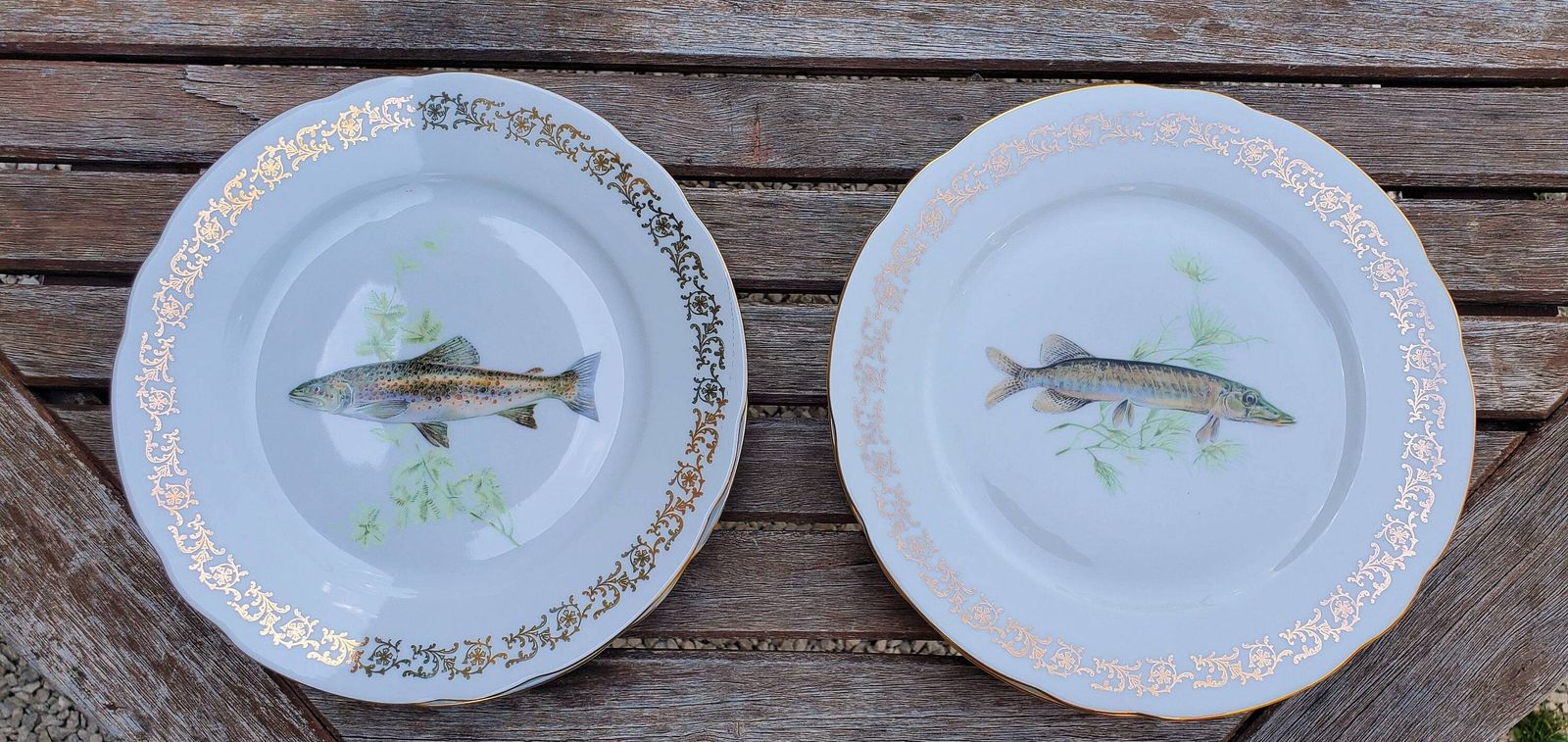 Full Set Of 12 Porcelain Fish Plates, Platter And Jug By Schumann Of Arzberg / 1960s Unused Porcelain Fish Plates / Boxed Set Of Porcelain photo 165.0