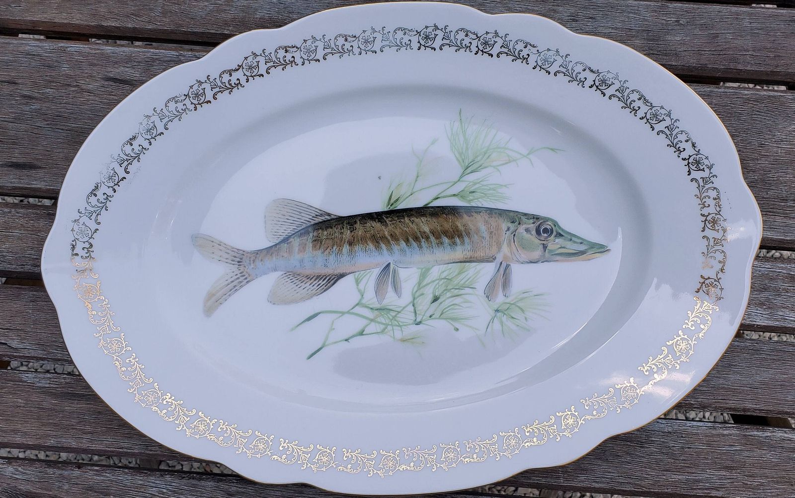 Full Set Of 12 Porcelain Fish Plates, Platter And Jug By Schumann Of Arzberg / 1960s Unused Porcelain Fish Plates / Boxed Set Of Porcelain photo vinterior