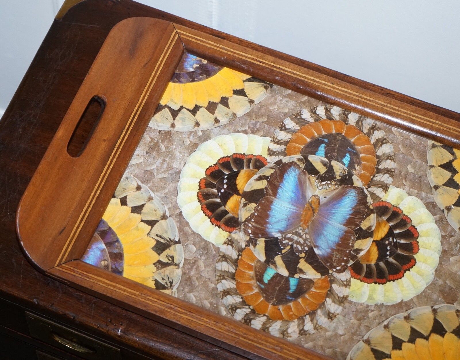 Vintage Brazilian Inlaid Wood Tray With Real Morpho Butterfly Wings photo 350.0