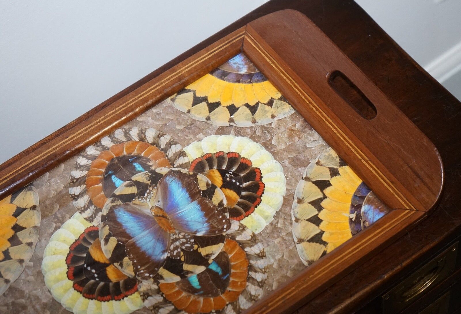 Vintage Brazilian Inlaid Wood Tray With Real Morpho Butterfly Wings photo vinterior