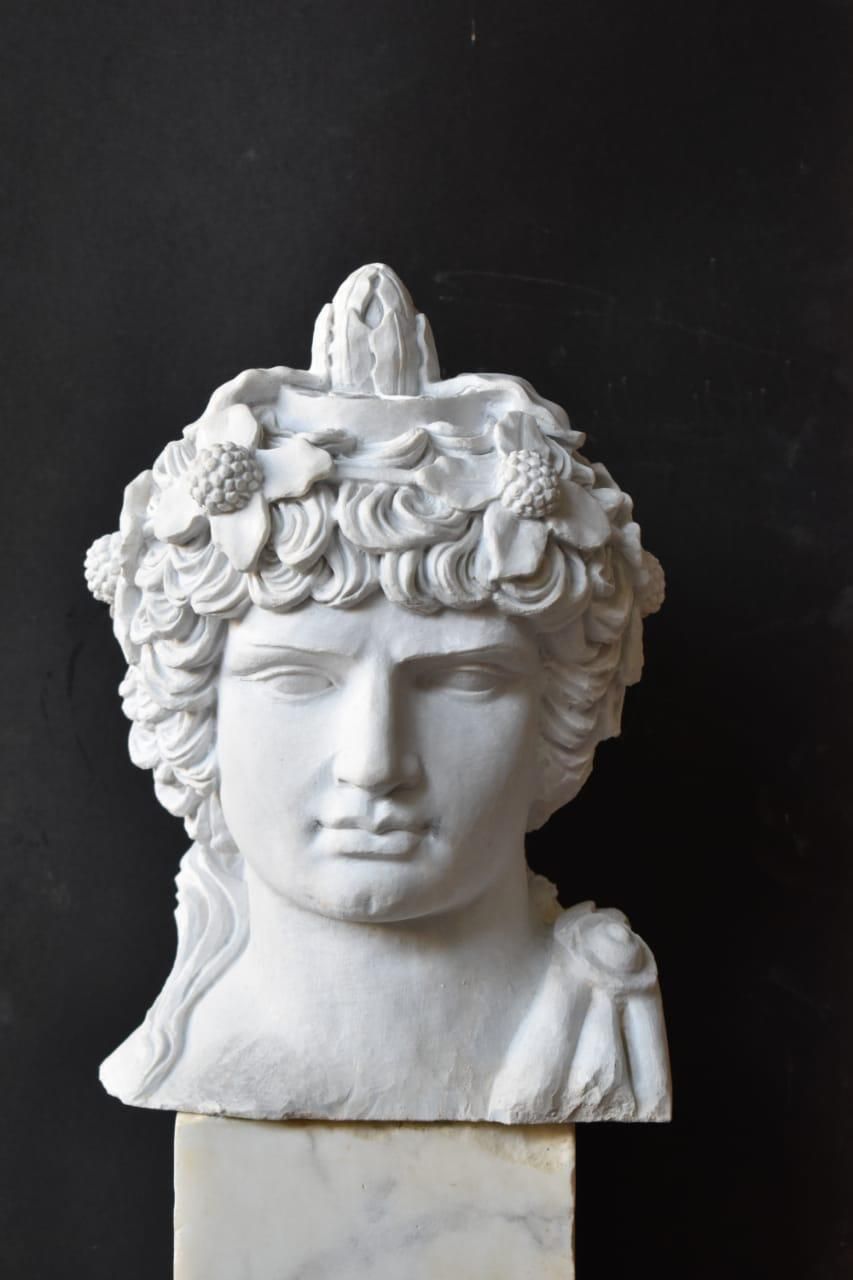 Townley Antinous Bust Sculpture – Hand Carved, 20th Century photo furniture
