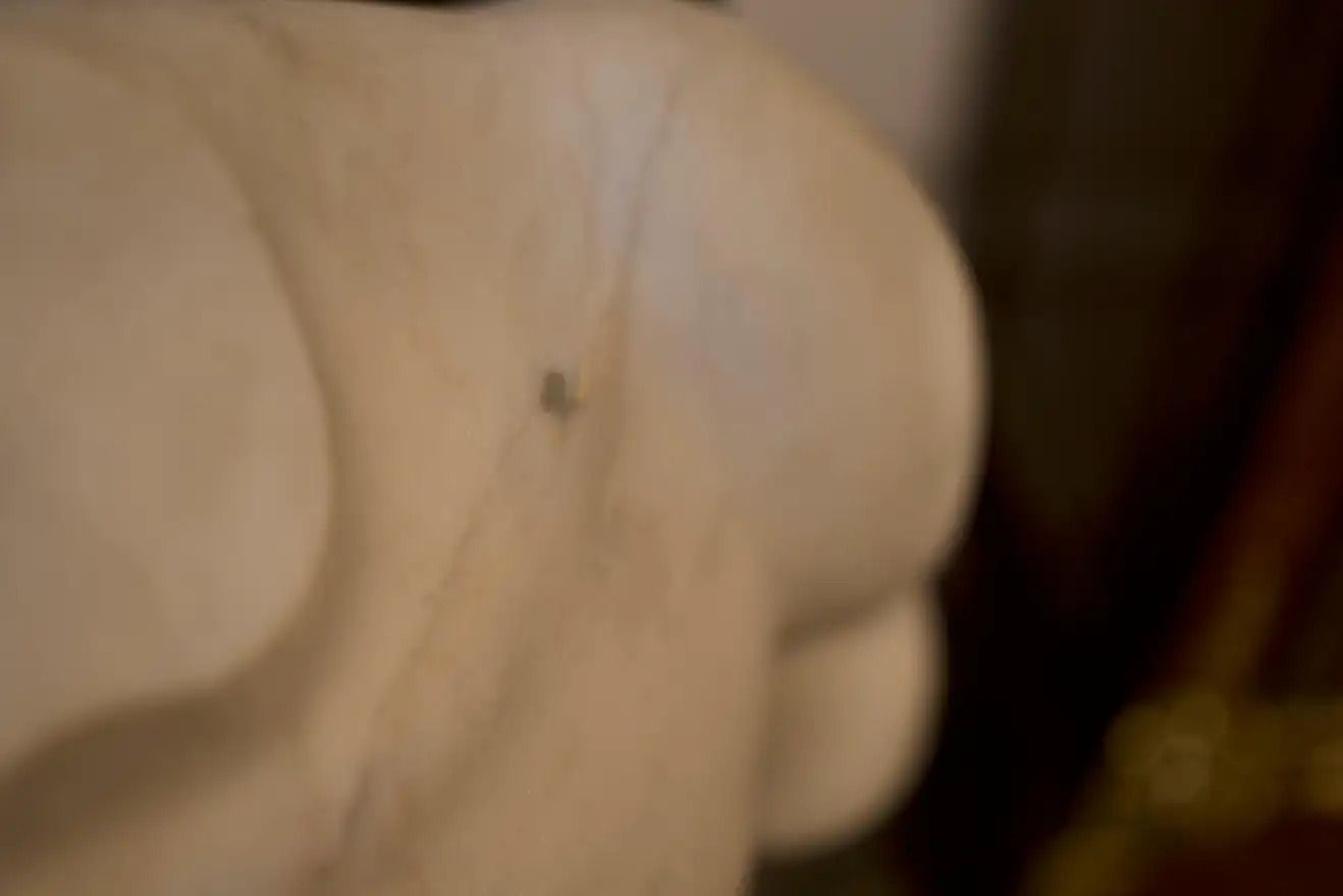 20th Century Monumental Grand Tour Marble Torso Statue Nude Carving photo buy