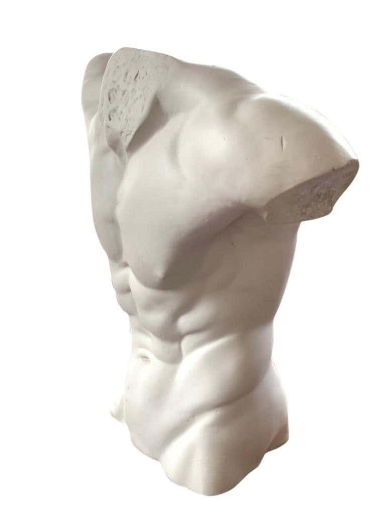 Male Torso Statue, 20th Century photo 650.0