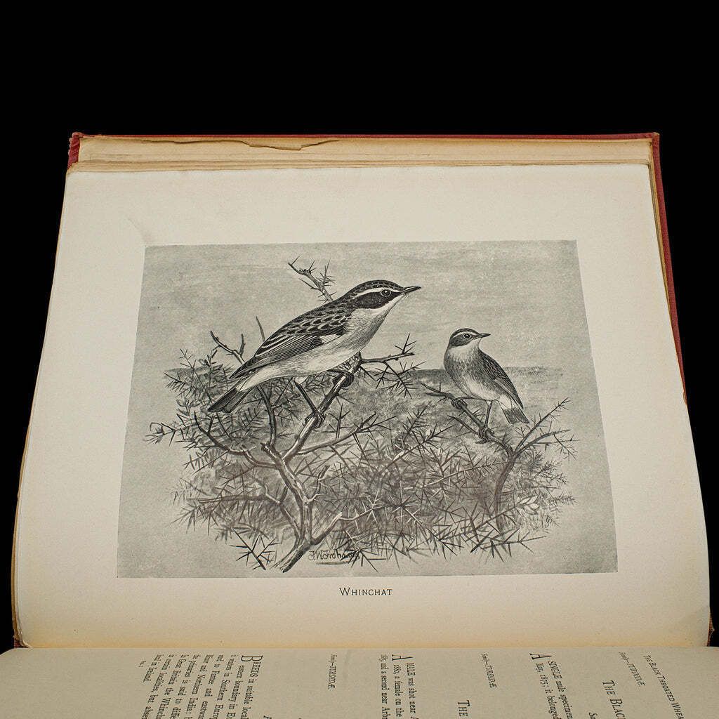 6 Vols British Birds And Their Nests, Butler, Avian Reference Book, Victorian photo Home Decor
