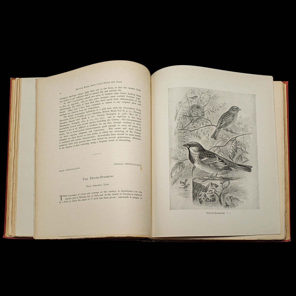 6 Vols British Birds And Their Nests, Butler, Avian Reference Book, Victorian photo buy