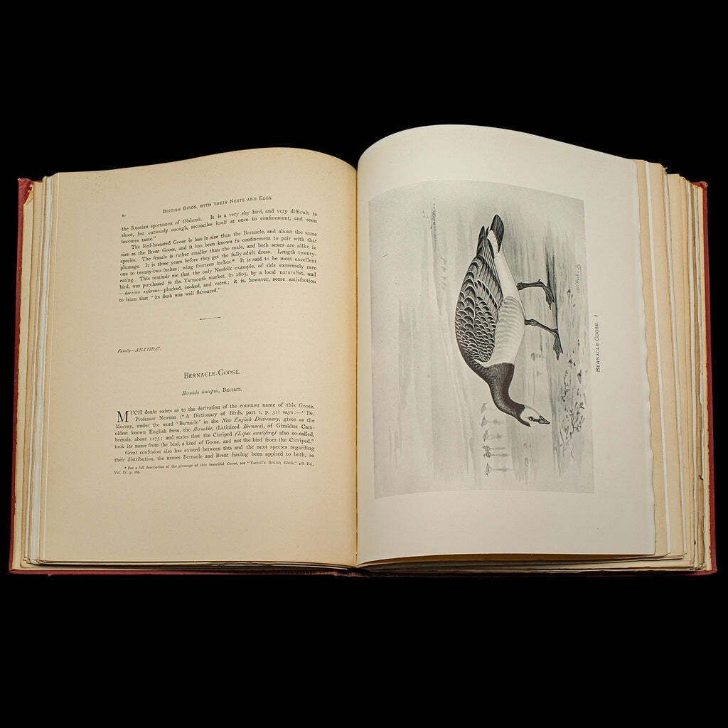 photo furniture 6 Vols British Birds And Their Nests, Butler, Avian Reference Book, Victorian