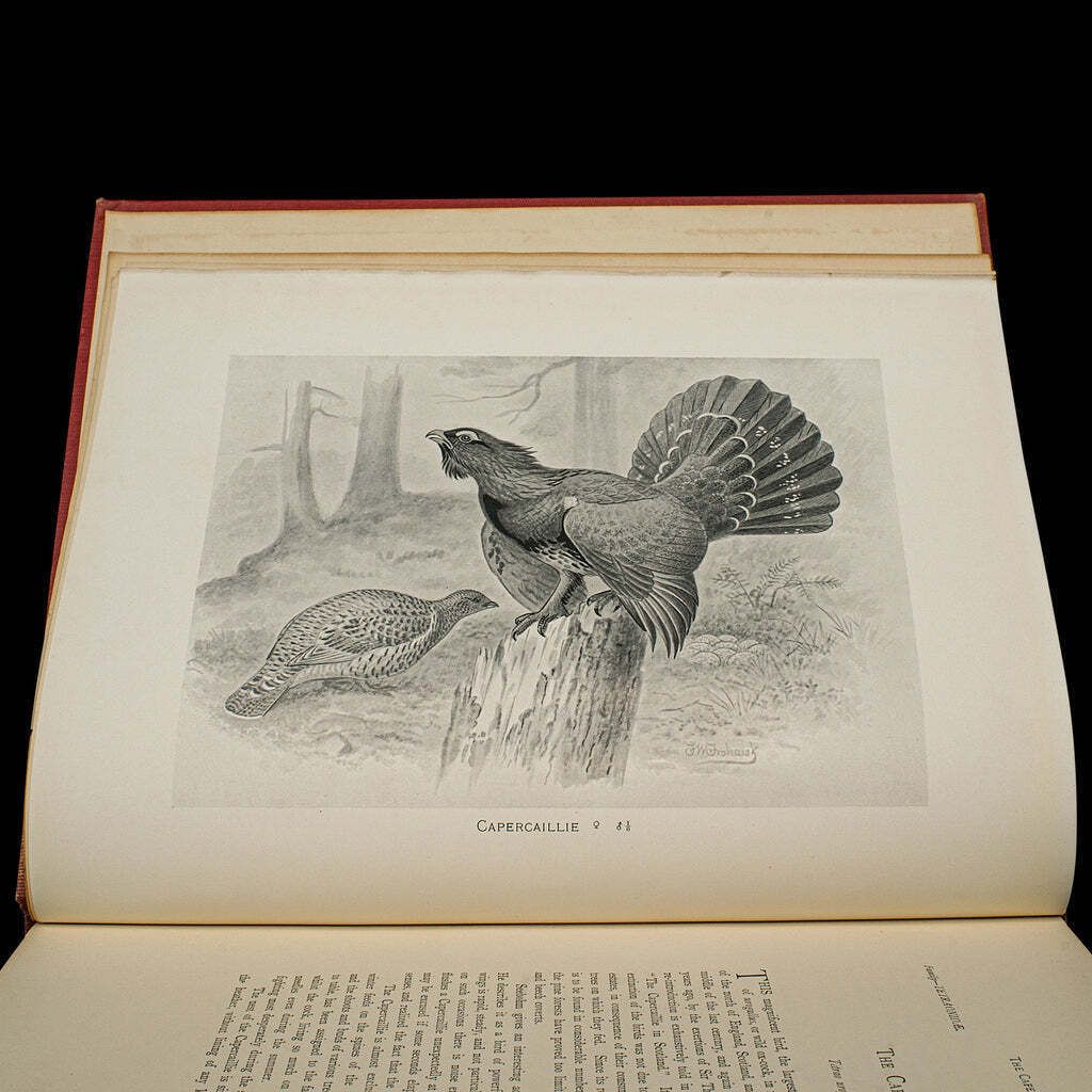 photo for sale 6 Vols British Birds And Their Nests, Butler, Avian Reference Book, Victorian
