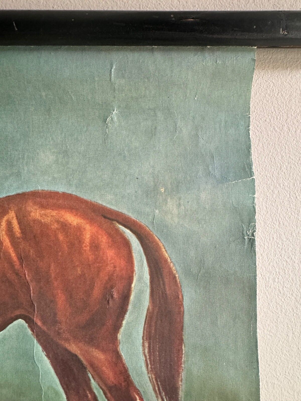 photo vinterior Vintage Horses School Chart By Jung Koch Quentell Poster Equine Anatomy.