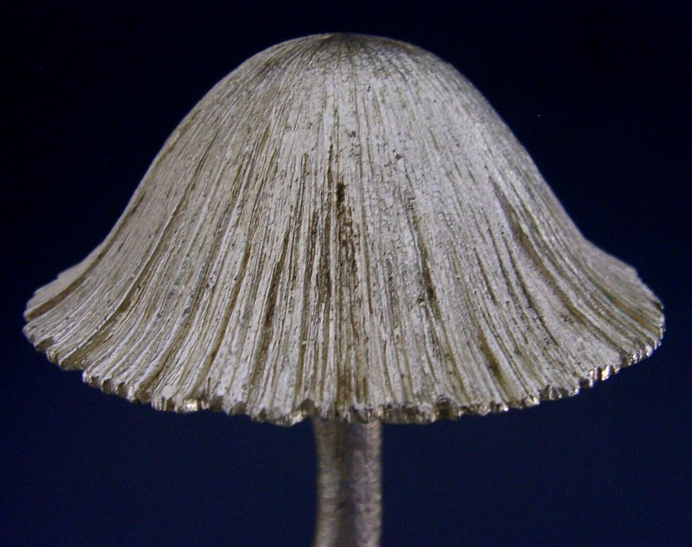 Rare 1 Of 20 Sterling Silver Christopher Lawrence Mushroom 1976 256g Rabbits photo 784.98
