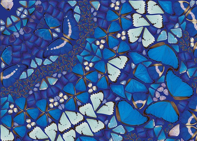 Damien Hirst Chameleon From The Kaleidoscopes H18 2 photo for sale
