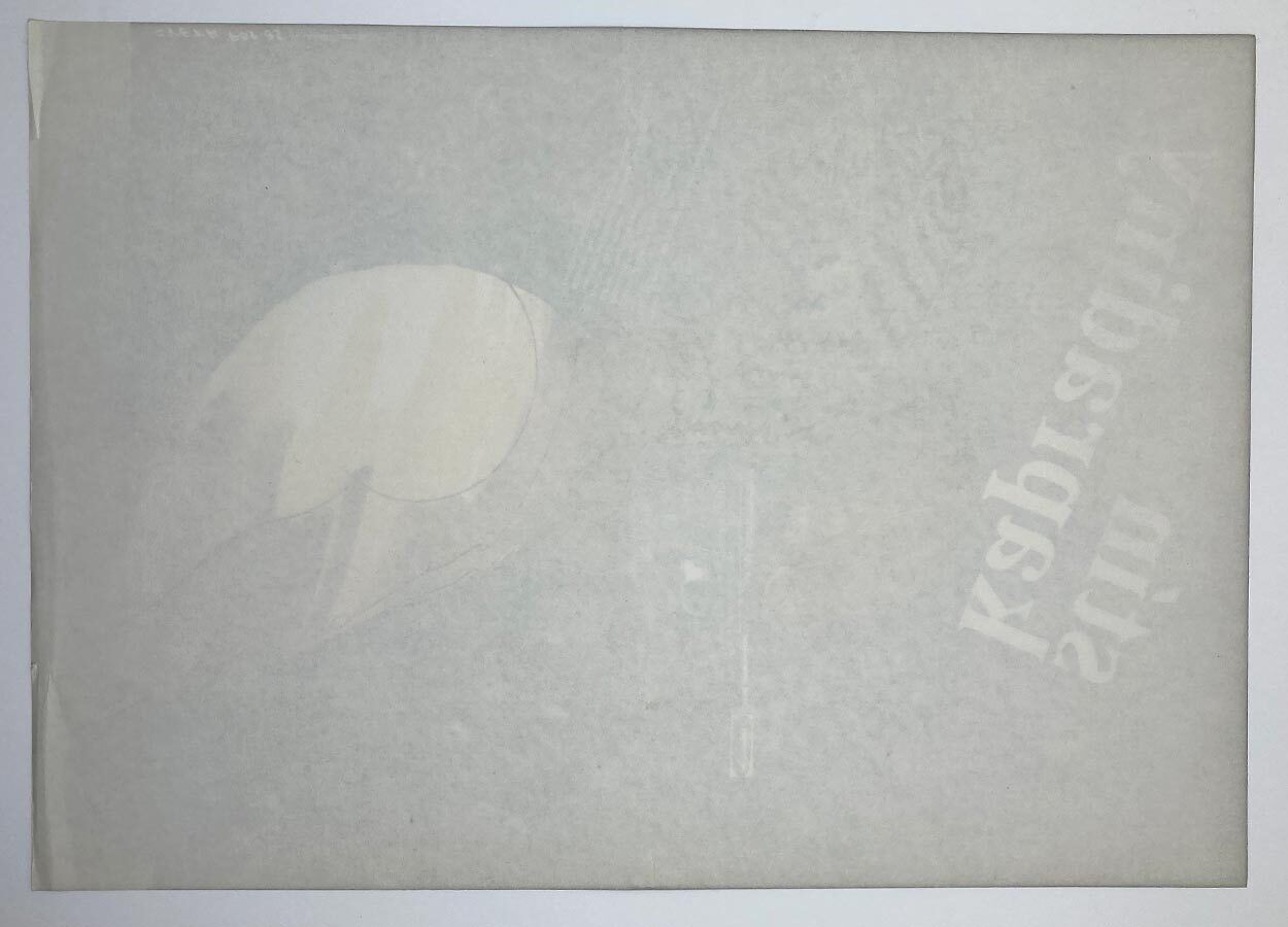 Original Film Poster, Shadow Of The Ferns, Petr Poš, 1985, Genuine Czech Vintage Print photo furniture