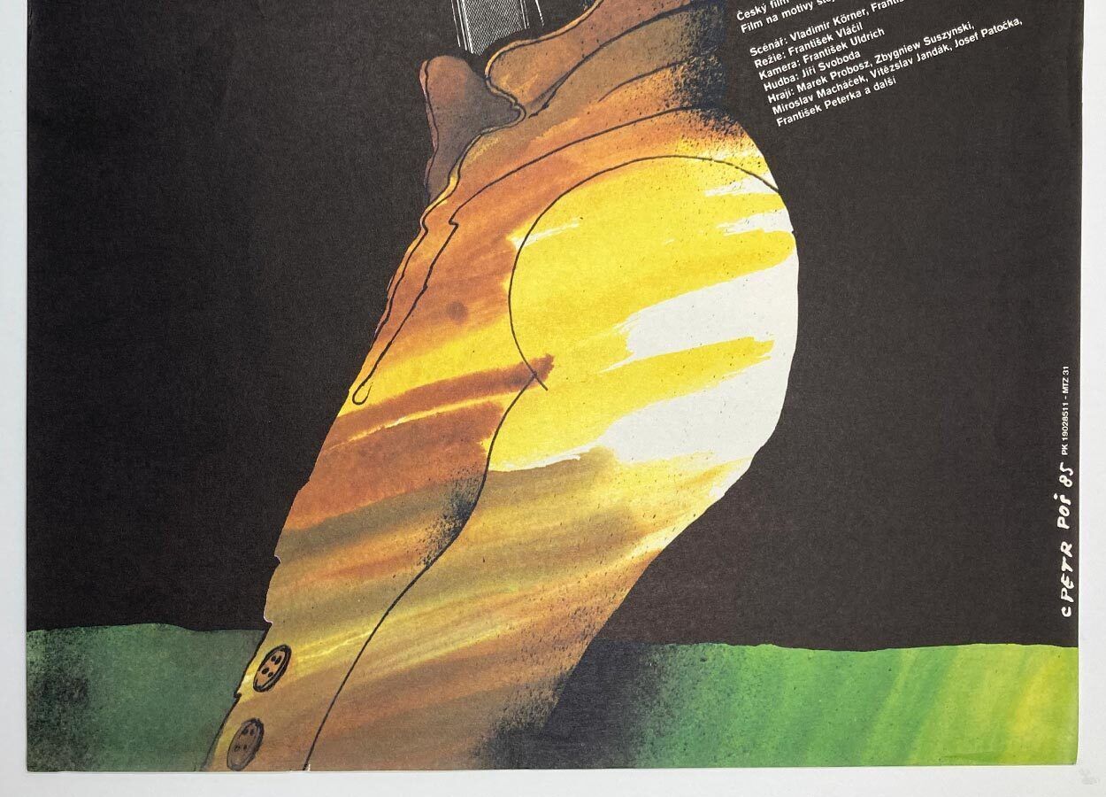 Original Film Poster, Shadow Of The Ferns, Petr Poš, 1985, Genuine Czech Vintage Print photo 51.0