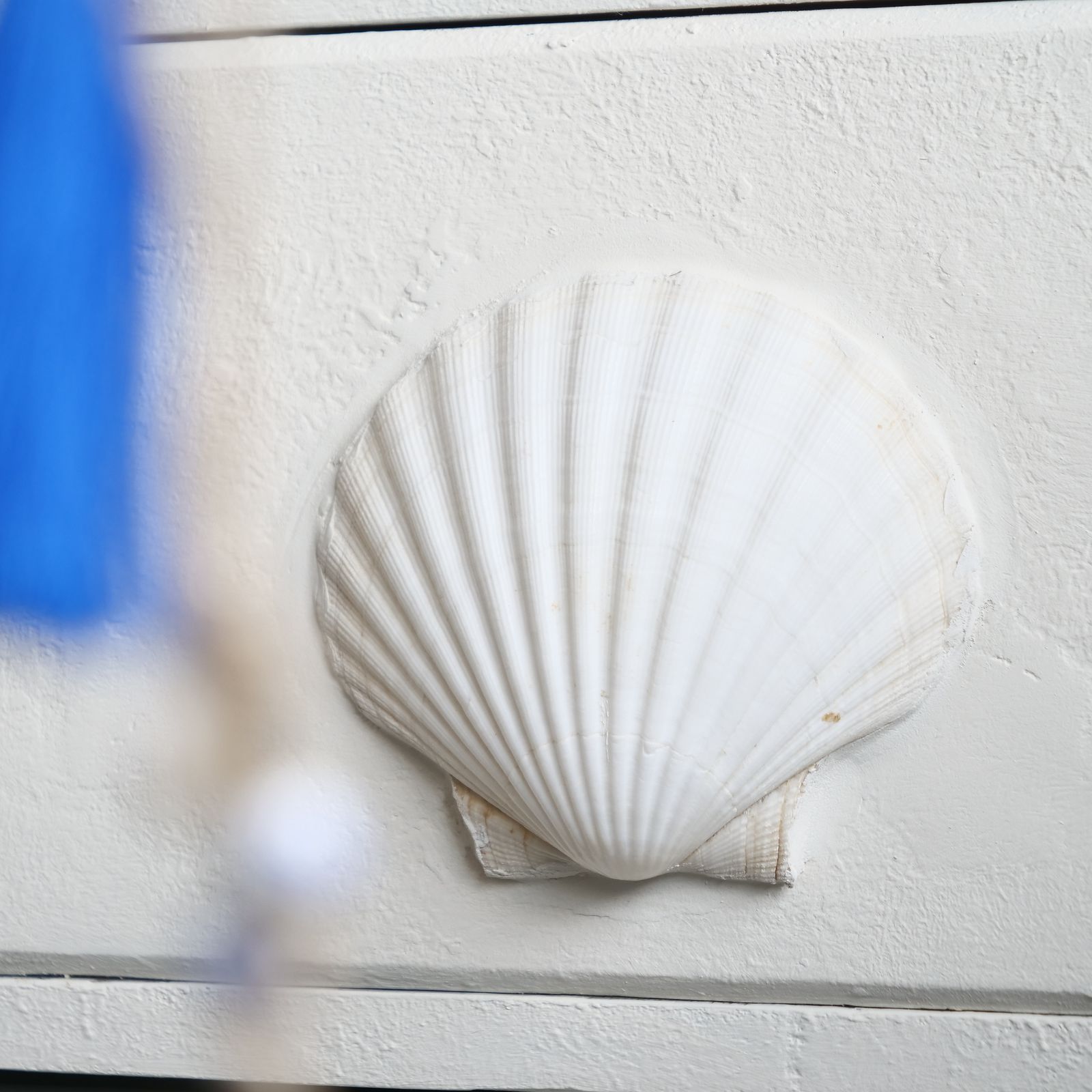 Unique Scallop Chest Of Drawers, Nautical White Cabinet, Blue Ceramic Knobs, Hand Painted With Love photo for sale