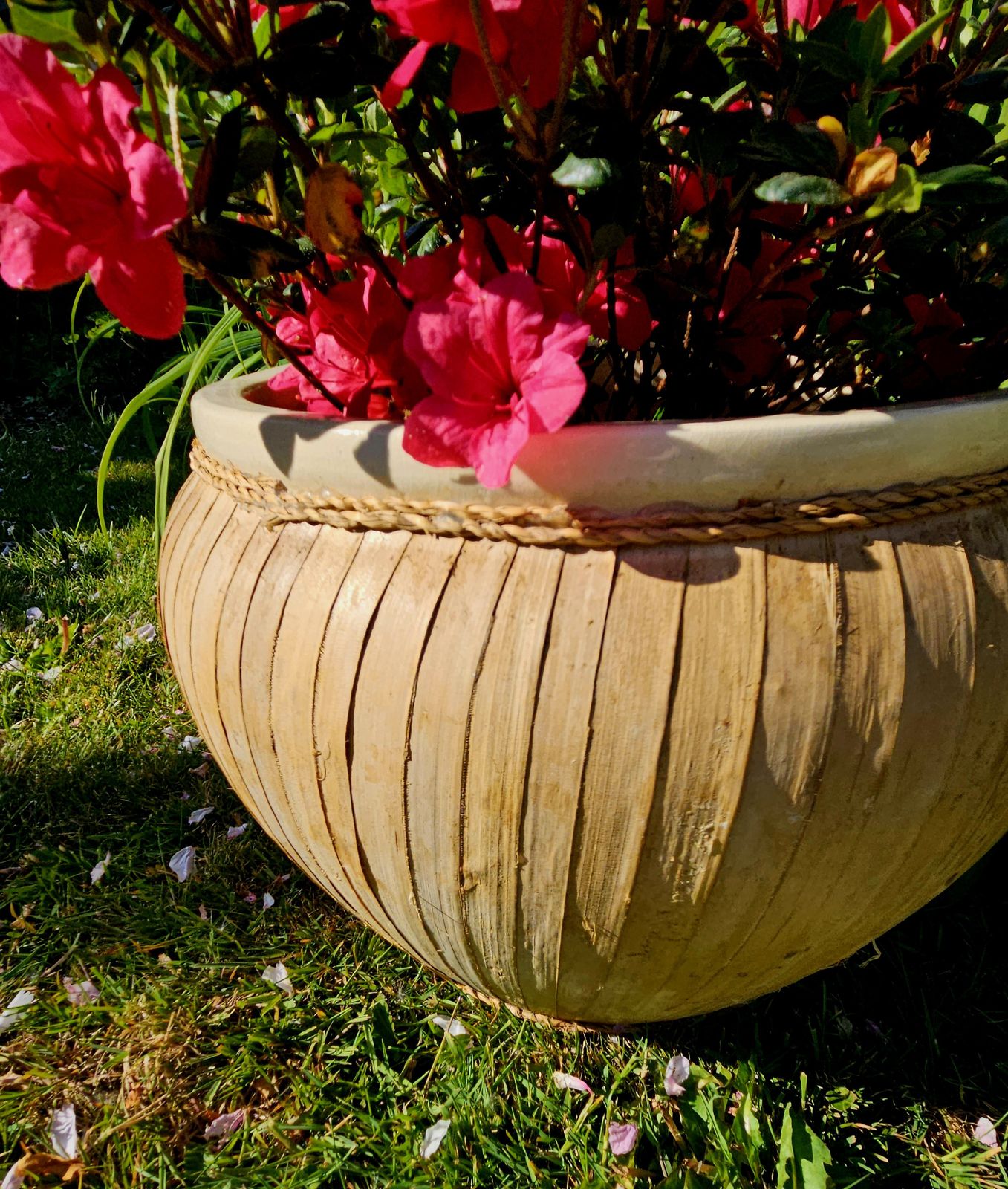 Large, Ceramic & Bamboo Indoor Planter photo buy
