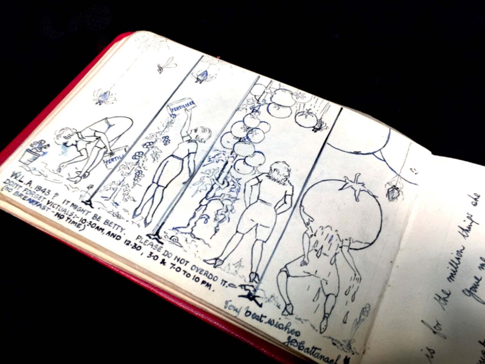 Antique Early 20th Century Sketch Book / Album / Artists Drawings / Diary 1930s photo 65.0
