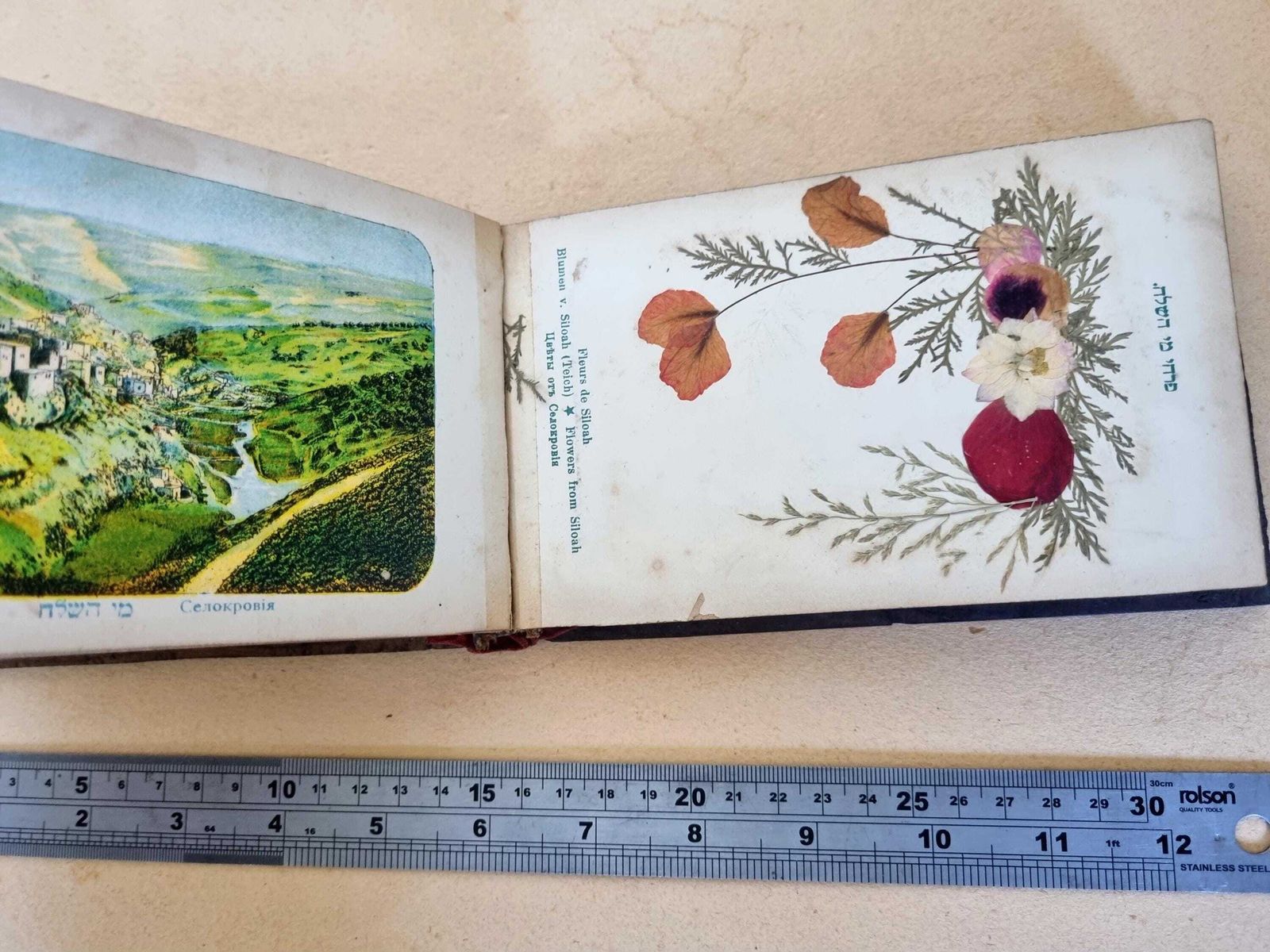 Holy Land Jerusalem Flowers Album With Romantic Inscription Dedication 1918, Olive Wood Souvenir Book | Historical Pressed Flower Lithograph photo buy