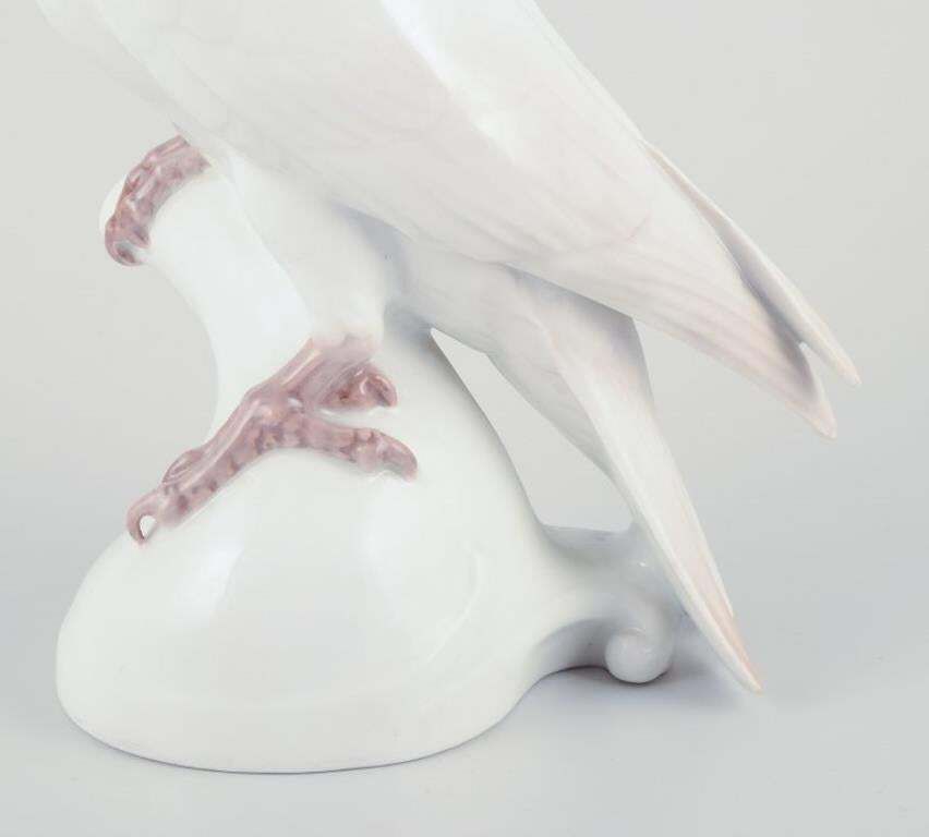 Rosenthal, Germany. Cockatoo In Porcelain. Art Deco Style. photo for sale
