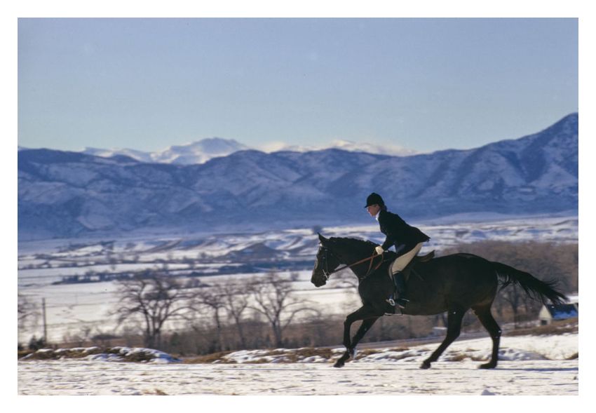 Toni Frissell 'A Horse Ride In The Snow' Unframed Archival Pigment Print photo furniture
