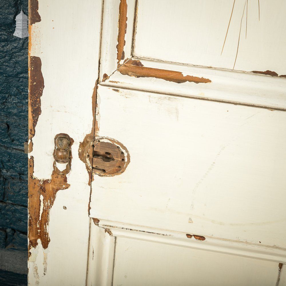 photo buy 6 Panel Door, Faux Woodgrain & Distressed White Paint Finish
